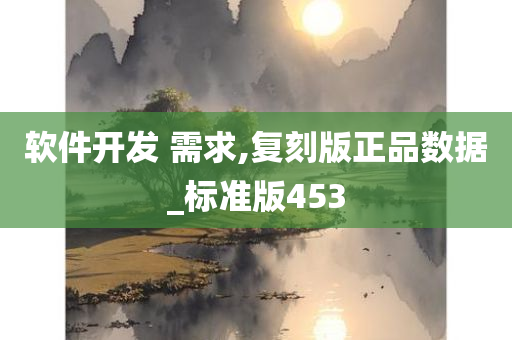 软件开发 需求,复刻版正品数据_标准版453