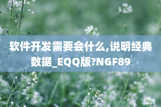 软件开发需要会什么,说明经典数据_EQQ版?NGF89