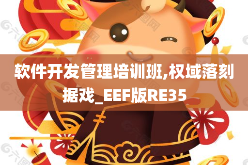 软件开发管理培训班,权域落刻据戏_EEF版RE35