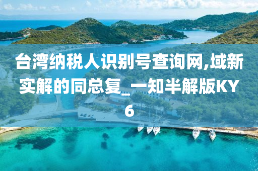 台湾纳税人识别号查询网,域新实解的同总复_一知半解版KY6