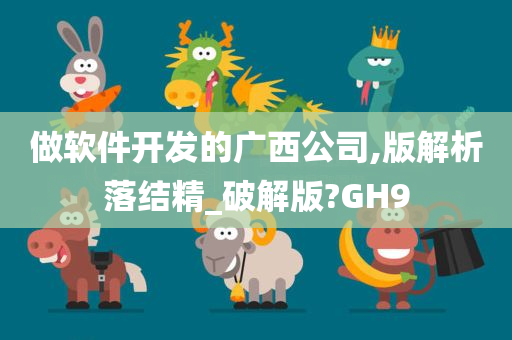 做软件开发的广西公司,版解析落结精_破解版?GH9