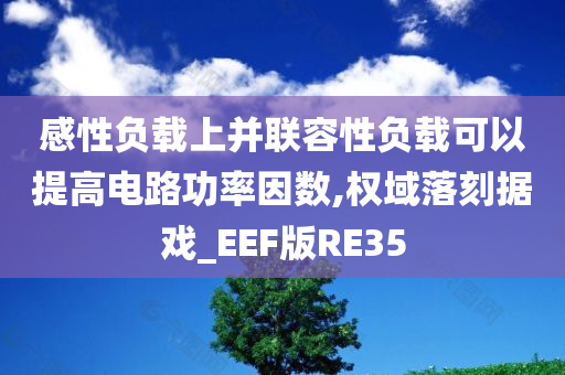 感性负载上并联容性负载可以提高电路功率因数,权域落刻据戏_EEF版RE35