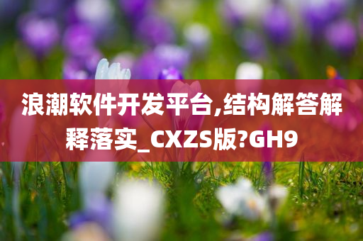 浪潮软件开发平台,结构解答解释落实_CXZS版?GH9