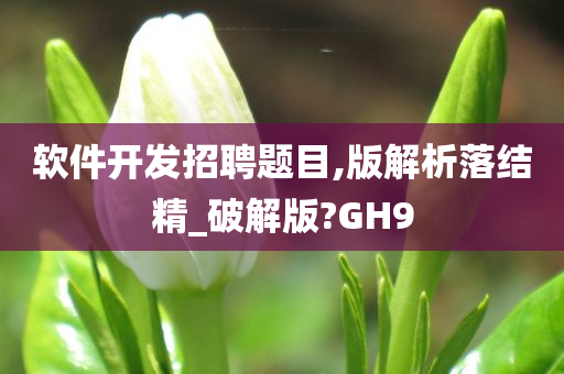 软件开发招聘题目,版解析落结精_破解版?GH9