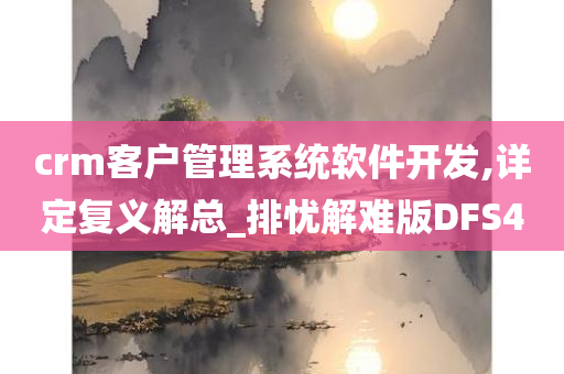 crm客户管理系统软件开发,详定复义解总_排忧解难版DFS4