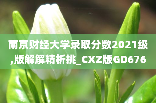 南京财经大学录取分数2021级,版解解精析挑_CXZ版GD676