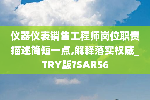 仪器仪表销售工程师岗位职责描述简短一点,解释落实权威_TRY版?SAR56