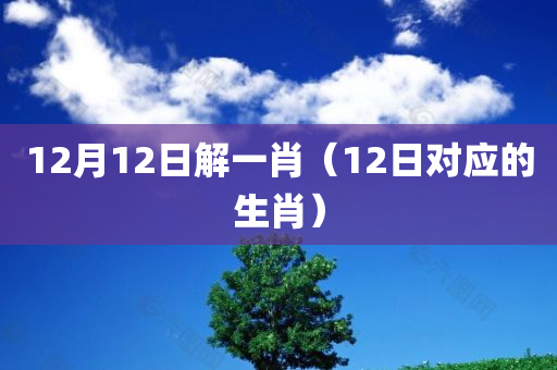 12月12日解一肖（12日对应的生肖）