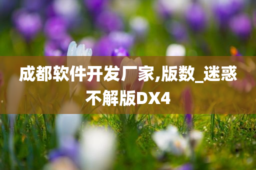 成都软件开发厂家,版数_迷惑不解版DX4