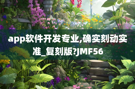 app软件开发专业,确实刻动实准_复刻版?JMF56