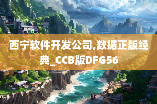 西宁软件开发公司,数据正版经典_CCB版DFG56