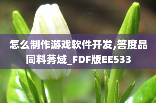 怎么制作游戏软件开发,答度品同料莠域_FDF版EE533