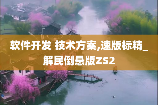 软件开发 技术方案,速版标精_解民倒悬版ZS2