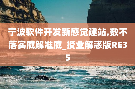 宁波软件开发新感觉建站,数不落实威解准威_授业解惑版RE35