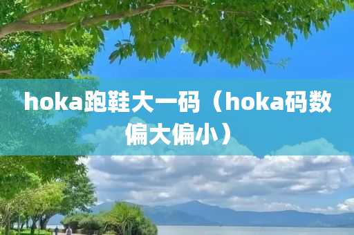 hoka跑鞋大一码（hoka码数偏大偏小）