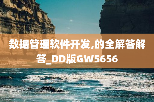 数据管理软件开发,的全解答解答_DD版GW5656