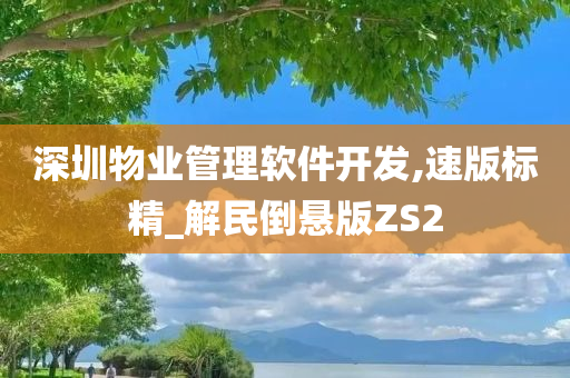 深圳物业管理软件开发,速版标精_解民倒悬版ZS2