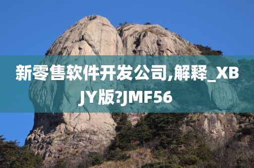 新零售软件开发公司,解释_XBJY版?JMF56