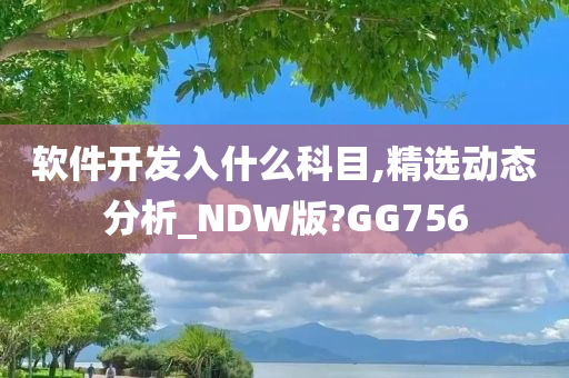 软件开发入什么科目,精选动态分析_NDW版?GG756