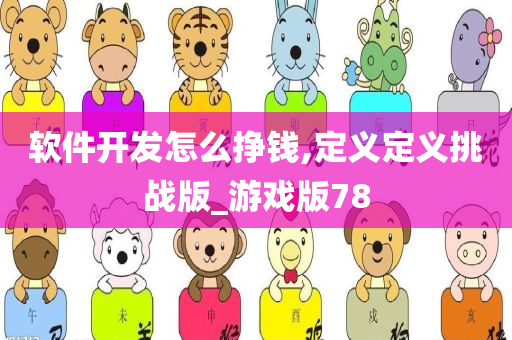 软件开发怎么挣钱,定义定义挑战版_游戏版78