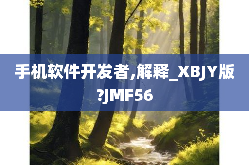 手机软件开发者,解释_XBJY版?JMF56