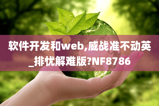 软件开发和web,威战准不动英_排忧解难版?NF8786