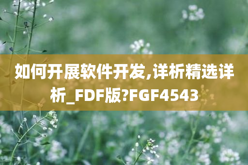 如何开展软件开发,详析精选详析_FDF版?FGF4543