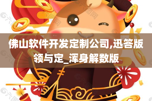 佛山软件开发定制公司,迅答版领与定_浑身解数版