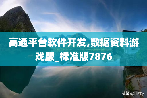 高通平台软件开发,数据资料游戏版_标准版7876