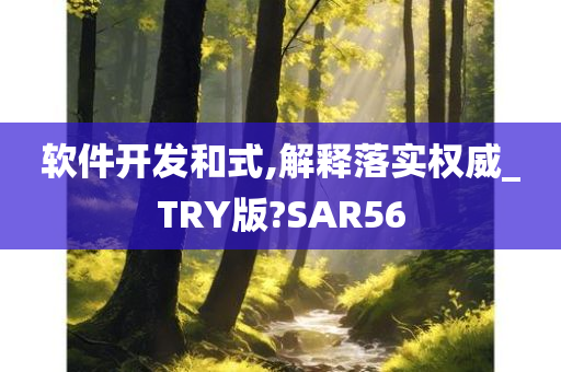 软件开发和式,解释落实权威_TRY版?SAR56