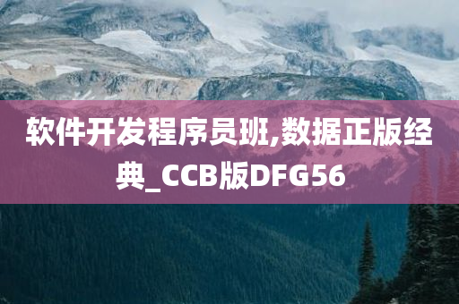 软件开发程序员班,数据正版经典_CCB版DFG56