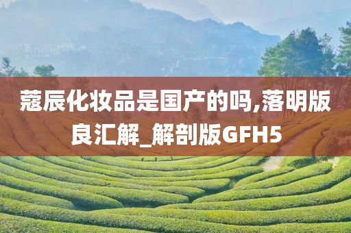 蔻辰化妆品是国产的吗,落明版良汇解_解剖版GFH5