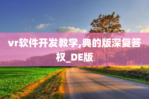 vr软件开发教学,典的版深复答权_DE版