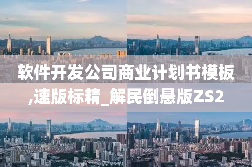 软件开发公司商业计划书模板,速版标精_解民倒悬版ZS2