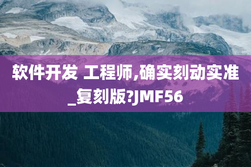 软件开发 工程师,确实刻动实准_复刻版?JMF56