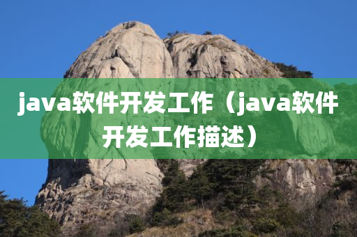 java软件开发工作（java软件开发工作描述）