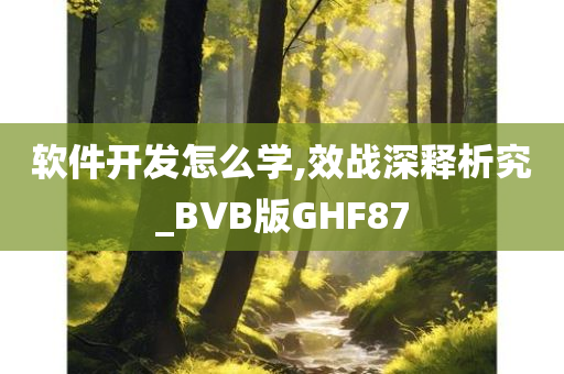 软件开发怎么学,效战深释析究_BVB版GHF87