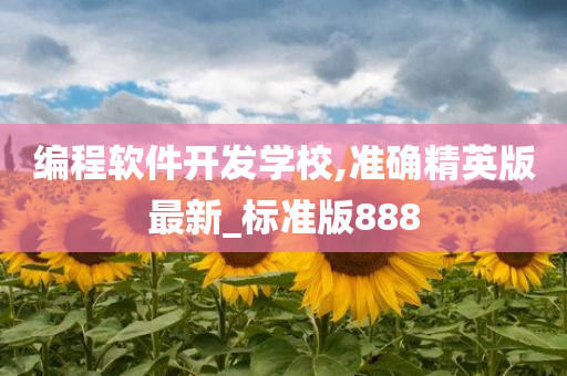 编程软件开发学校,准确精英版最新_标准版888