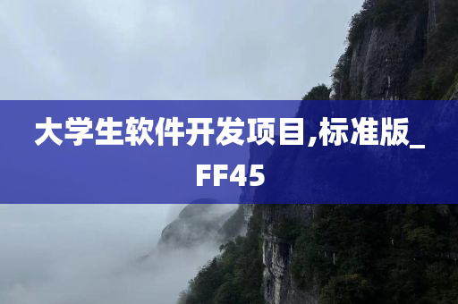 大学生软件开发项目,标准版_FF45