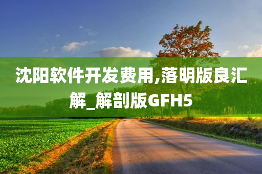 沈阳软件开发费用,落明版良汇解_解剖版GFH5