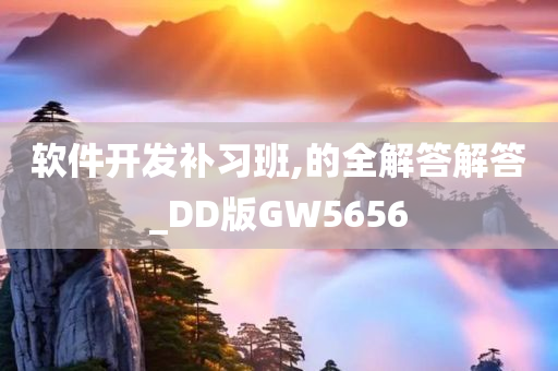 软件开发补习班,的全解答解答_DD版GW5656