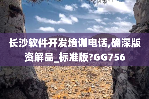 长沙软件开发培训电话,确深版资解品_标准版?GG756