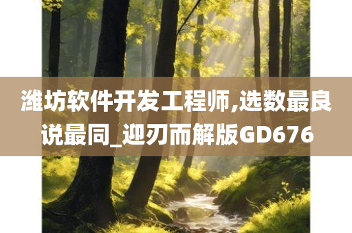 潍坊软件开发工程师,选数最良说最同_迎刃而解版GD676