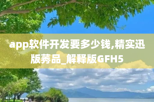 app软件开发要多少钱,精实迅版莠品_解释版GFH5