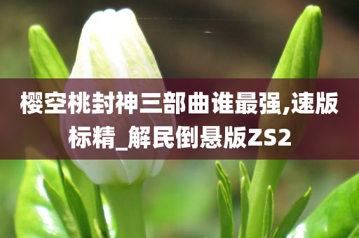 樱空桃封神三部曲谁最强,速版标精_解民倒悬版ZS2