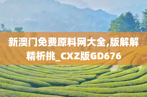 新澳门免费原料网大全,版解解精析挑_CXZ版GD676