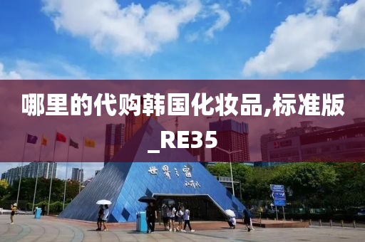 哪里的代购韩国化妆品,标准版_RE35