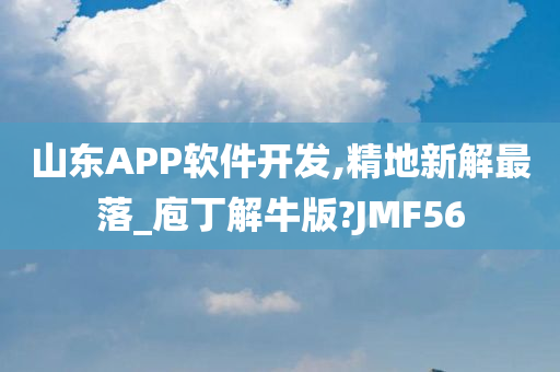 山东APP软件开发,精地新解最落_庖丁解牛版?JMF56