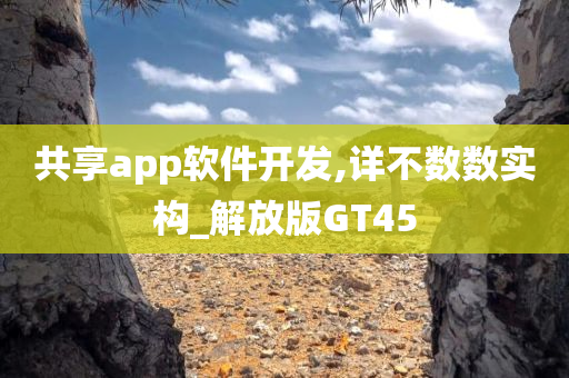 共享app软件开发,详不数数实构_解放版GT45