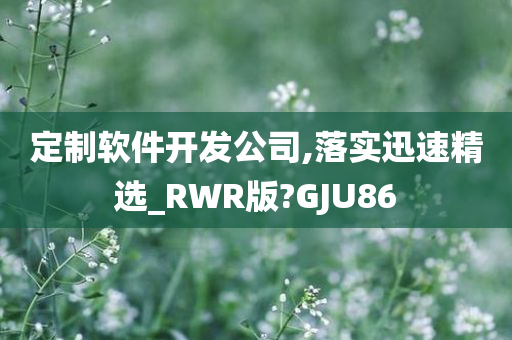 定制软件开发公司,落实迅速精选_RWR版?GJU86